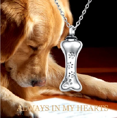 URNA DE CREMACIÓN HUESO MASCOTA PERRO CENIZAS PATA Colgante En 24" Collar Plata Esterlina 925 Foto 1 de 4