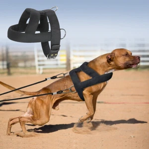Large Dog Weight Pulling Harness Heavy Duty Dog Training Harness Vest Pitbull - Picture 1 of 13