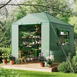 Portable Greenhouse Walk-in Green House Plant Gardening All Seasons 6'x8' 8'x12' - Picture 1 of 13