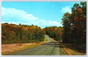Cartolina d'epoca 1961 Autunno Scenic Road L.L. Alberi autunnali Co Wisconsin - Foto 1 di 2