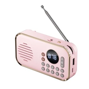 Radio FM Portable Rechargeable Petit Haut-Parleur Bluetooth Sans Fil Surrou5921 - Imagen 1 de 10