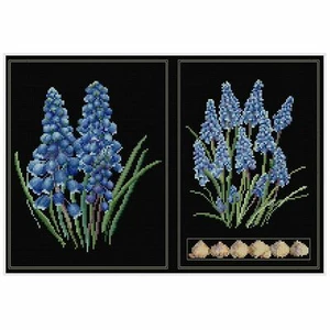 Kit Punto De Cruz Muscari 443-05 Thea Gouverneur Aida Negro - Bild 1 von 3