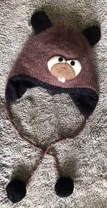 DELUX (o/s) Kids Warm Hat W/wool & Fleece Lined, Ear Covers W/Ties & Poms VGUC! - Picture 1 of 7