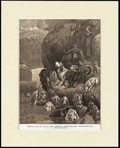 OTTERHOUND KENDAL DOG PACK HUNTING GREAT DOG PRINT MOUNTED READY TO FRAME - Bild 1 von 1
