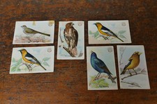 Lot of 6 Church & Dwight Cards Useful Birds of America Second/Third Series