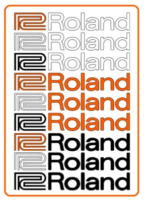 CATATONIC IGUANA Roland Amp Amplifier Drums Percussion Vinyl Decal Sticker buy 2 get 1 FREE