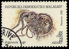MADAGASCAR 1124 - Greater Argonaut "Argonauta argo" (pb45561)