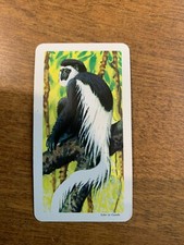 BROOKE BOND RED ROSE TEA CARDS - SERIES 7 - AFRICAN ANIMALS