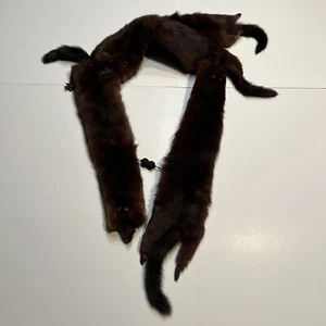 Vintage Real Mink Fur 48” Collar Wrap Stole - 4 Full Pelts - 1930s / 1940s - Picture 1 of 7