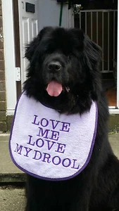 BIG DOG NEWFOUNDLAND ST BERNARD BERNESE OLD ENGLISH MASTIFFS SLOBBER BIB - Picture 1 of 1
