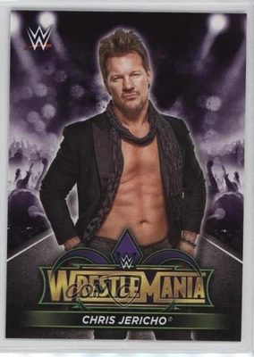 2018 Topps WWE Road to Wrestlemania Wrestlemania 34 Roster Chris Jericho #R-10 - Image 1 of 2