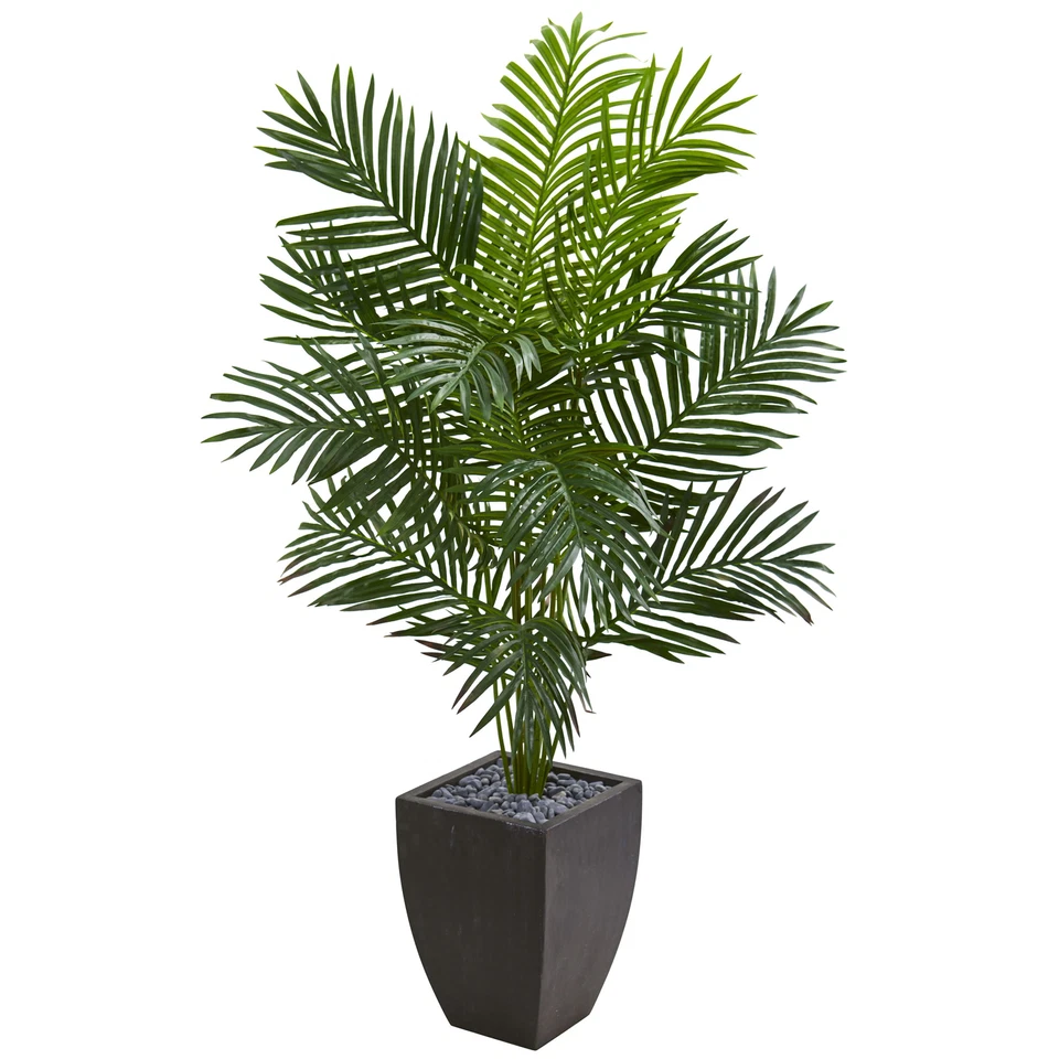 Paradise faux Palm Tree In Black Planter Natural 5.5’ Decor - Image 1 of 1