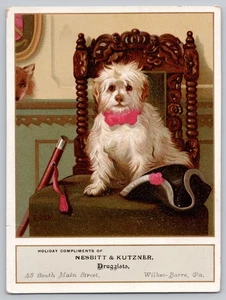 Wilkes-Barre PA Nesbitt Kutzner Drogist Malteser Urlaub Sammelkarte viktorianisch - Bild 1 von 2