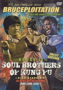 SOUL BROTHERS OF KUNG FU-  Hong Kong RARE Kung Fu Martial Arts movie ---37D - Picture 1 of 1