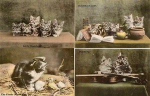 11 Katze Katzen Kätzchen Stück unbenutzt Martin Ridley Boscombe Ref T537 - Bild 1 von 4