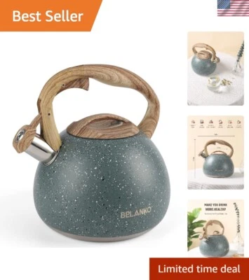 Family-Sized 2.7 Quart Stainless Steel Kettle with Loud Whistle & Stylish Design - Image 1 of 4