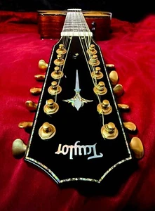 Taylor Presentation Series PS56ce/ Cocobolo- 12-String 2013 ( Open box) - Picture 1 of 21