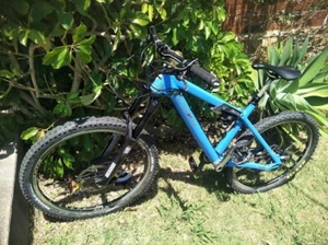Liteville 301 Mountain bike Downhill racing Sydney pickup - Picture 1 of 13