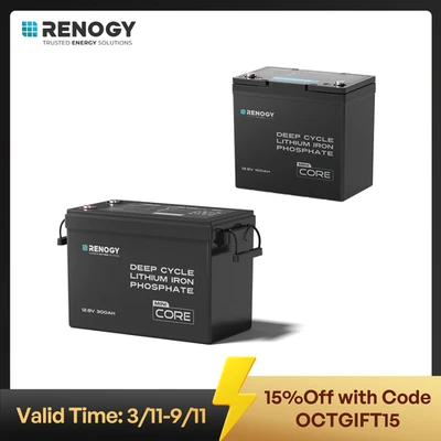 Renogy 100Ah 200Ah 300Ah 12V Solar Lithium Battery Mini Iron Phosphate RV BMS - image 1 of 2
