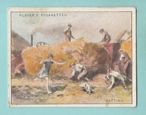 COUNTRY SPORTS - PLAYERS - CARD NO. 21 - RATTING - 1930 - Picture 1 of 2