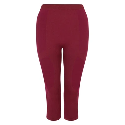 Dare 2B  Leggings 3/4 In The Zone II Diseño Paneles para Mujer (RG11238) - Imagen 1 de 4