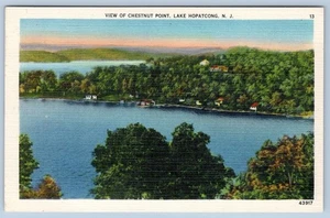 1940-50's CHESTNUT POINT LAKE HOPATCONG JERSEY NJ VINTAGE LINEN POSTCARD - Picture 1 of 2