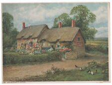 Vintage 1930's-40's English "Ann Hathaway's Cottage" Chickens Sylvester Stannard