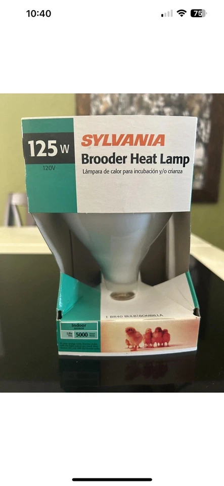 SYLVANIA 125-Watt BR40 Clear Broder Heat Lamp - 120V - Rated for 5,000 Hours - Image 1 of 3