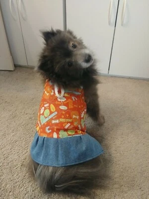 Vestido para perro - Puppy Power - L Foto 1 de 4