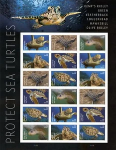 US 2024 MNH # 5865-5870c IMPERF NDC PROTECT SEA TURTLES PANE OF 18 FOREV STAMPS - Picture 1 of 1