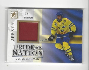 2014-15 ITG Prospects Pride of a Nation Gold Julius Bergman JERSEY Sweden 1/1 