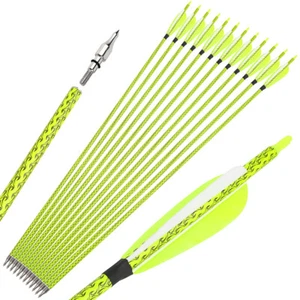 30" Carbon Arrows Archery SP500 4" Feather Compoundbow Recurve Bow Tips Hunting - Picture 1 of 26