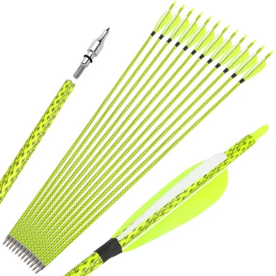 30" Carbon Arrows Archery SP500 4" Feather Compoundbow Recurve Bow Tips Hunting - Image 1 of 4