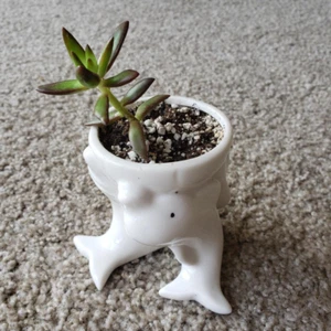 White Dolphin Cute Animal Shaped Ceramic Succulent Pot With Drainage Hole  - Picture 1 of 2