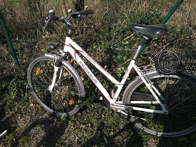 Damenrad Pegasus Avanti - Bild 1 von 4