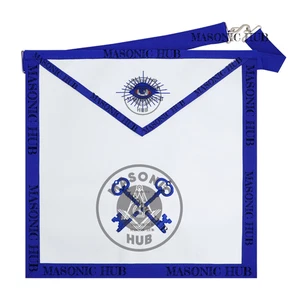 Masonic Treasurer all seeing eye Apron Texas Regulation Blue Lodge Officer - Picture 1 of 7