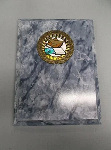 lamp of knowledge trophy award blue 6 x 8 plaque - Bild 1 von 1