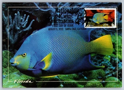 #5713i Marine Sanctuaries Queen Angelfish FDC Maxi Card w/Pictorial Cancel - Image 1 of 2