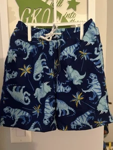 Banana Boat Dinosaur Print Swim Shorts Trunks; Size 4 - Picture 1 of 5