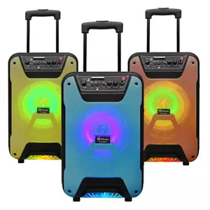 8 INCH Bluetooth Speaker Subwoofer Heavy Bass Stereo Karaoke Machine with Mic - Picture 1 of 15