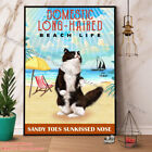 Domestic Long-Haired Beach Life Cat Paper Poster No Frame Wall Art Decor
