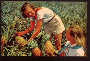 Postal de Hawaii c1951 Nani Li'i niñas con deliciosas piñas - Imagen 1 de 2