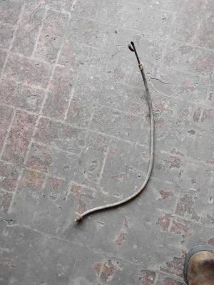 1983-1987 Ford Truck F250 F350 460 429 BBF V8 OIL PAN DIPSTICK TUBE STICK ASSY - Изображение 1 из 4