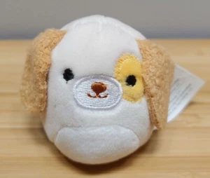 Squishmallows Squishville 2" Puppy Love Squad Cocker Spaniel Harrison Mystery - Imagen 1 de 2