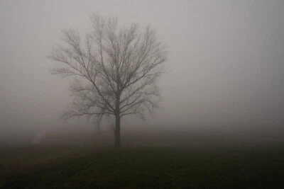 Fotografia Fine Art - Alessandro Carleschi - Invisible Threshold 01 - Immagine 1 di 4