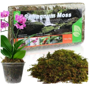 Dried Forest Moss 5qt Pack Sphagnum Potting Moss for Plants Orchids Succulents - Picture 1 of 7