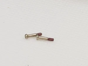1 Pair Vintage B&L Bausch Lomb Ray Ban Wayfarer Hinge Screws NOS - Picture 1 of 5