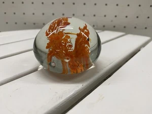 Pisapapeles de vidrio artístico diseño de medusas naranja pesado transparente decoración coleccionable 3 pulgadas - Imagen 1 de 5