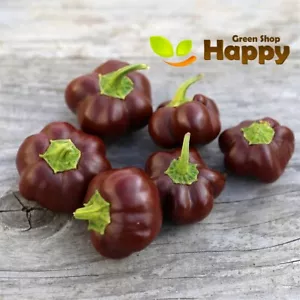 VEGETABLE PEPPER 70 SEEDS - Chocolate sweet Baby Bell Pepper Brown - Capsicum - Picture 1 of 7
