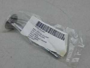 GM 10137454, 2815013146887, válvula de mariposa del motor - Imagen 1 de 5